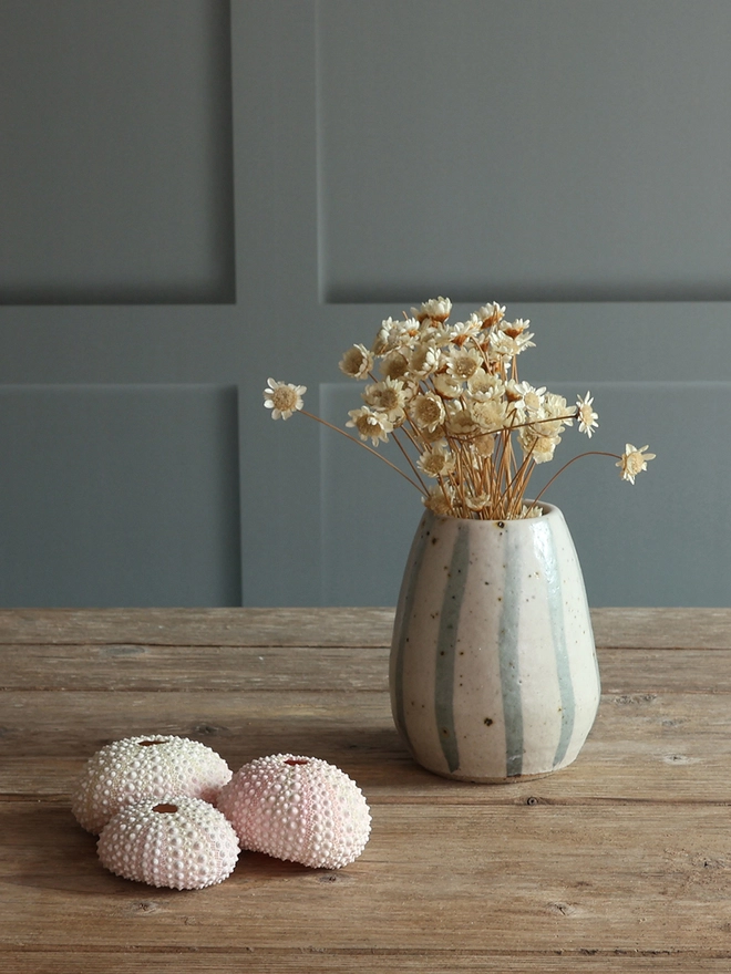Handmade Ceramic Stoneware Small Vase in Blue and White Stripe filled with dried flowers sat on a wooden surface alongside a collection of three pink sea urchins. 