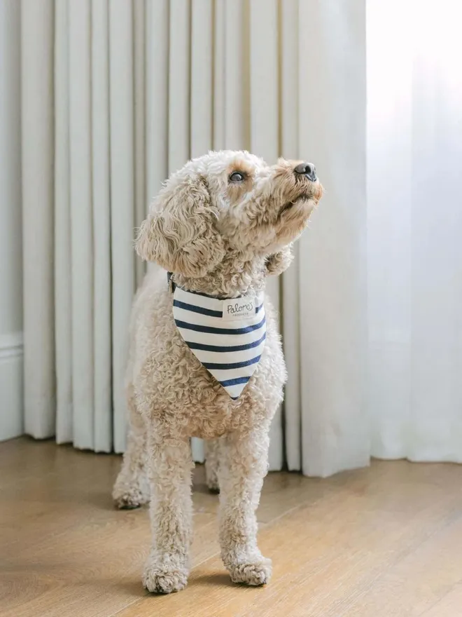 Handmade Organic Breton Bandana Dog Bandana