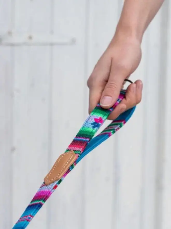 Colourful handmade dog lead