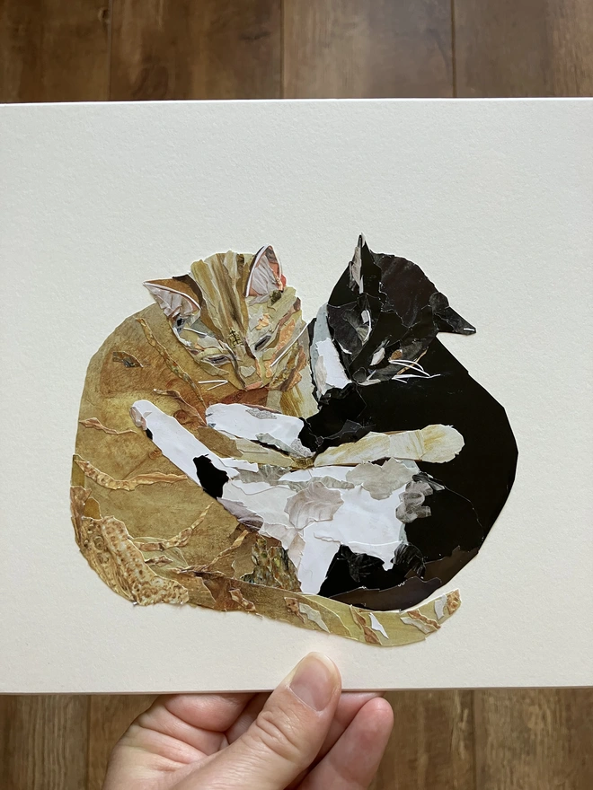 cat collage