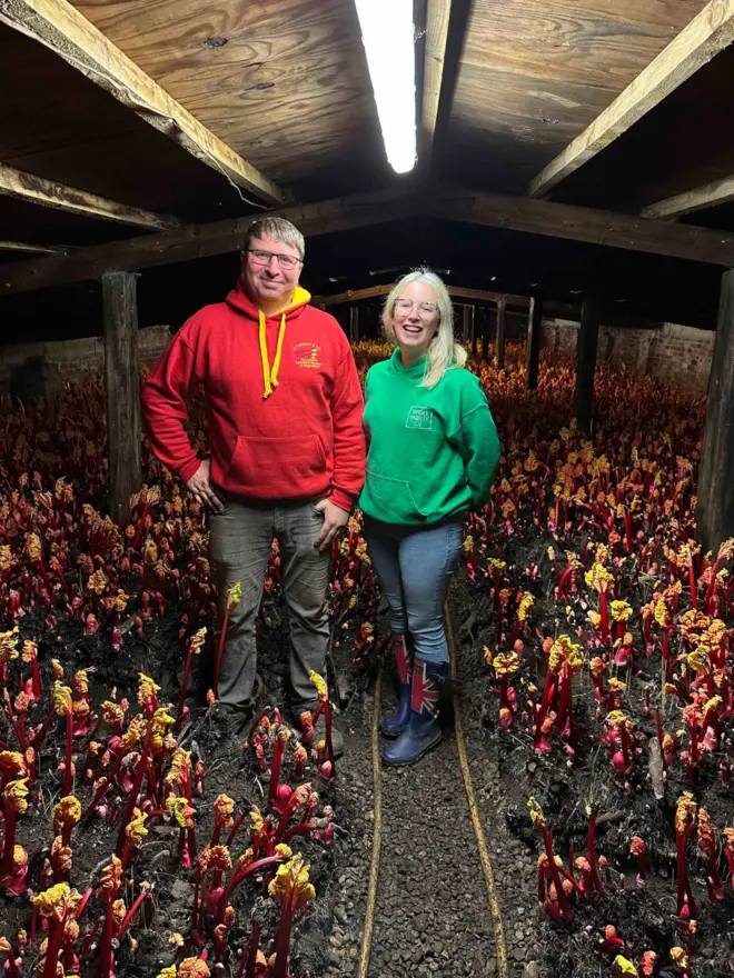 nicola elliott robert tomlinson rhubarb farmer