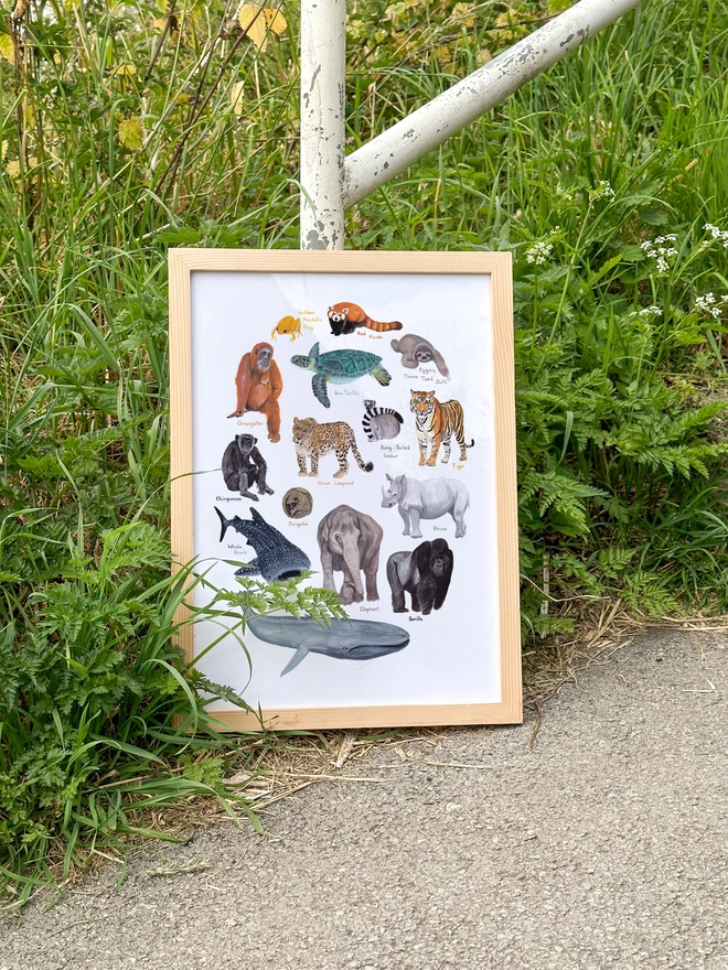 a print featuring illustrations of some of the most endangered creatures in the world