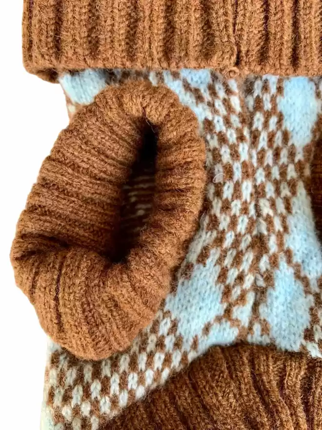 turquoise and brown dog jumper with legs