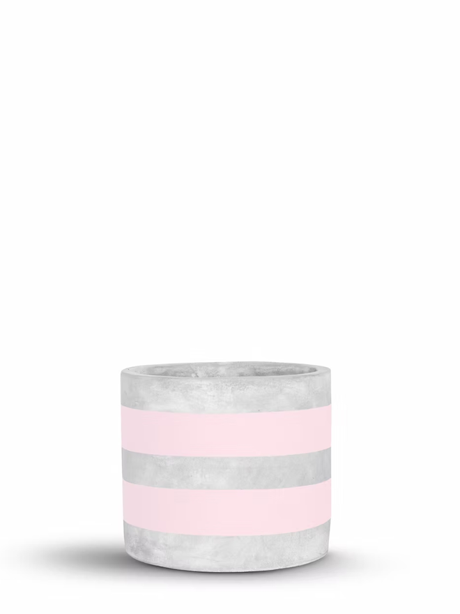 two stripes concrete plant pot. a grey plant pot with pink painted stripes.