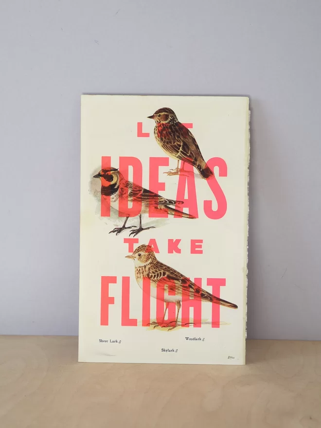 Basil & Ford Screenprint over original vintage book pages of birds