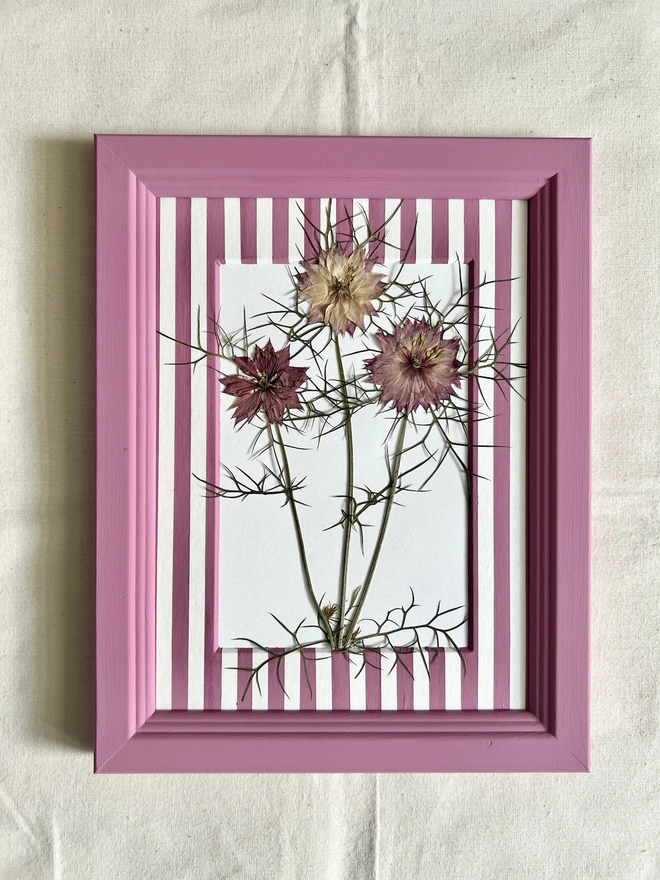 pressed nigella 'love in a mist' flowers in hand painted pink frame