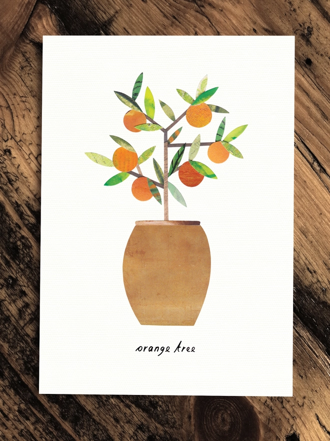 Orange Tree Greeting Card with House Plant Care Tips by Lianne Harrison of Paperwhale Cards