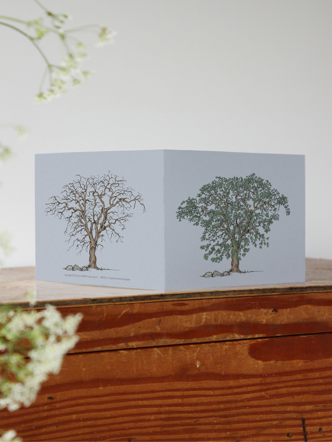 summer and winter tree illustrated greetings card