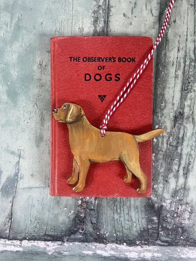 Foz Red Labrador Decoration on a book about dogs