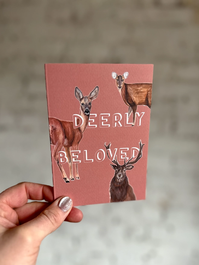 a peachy pink greetings card featuring three illustrations of different deer breeds with the text “deerly beloved”