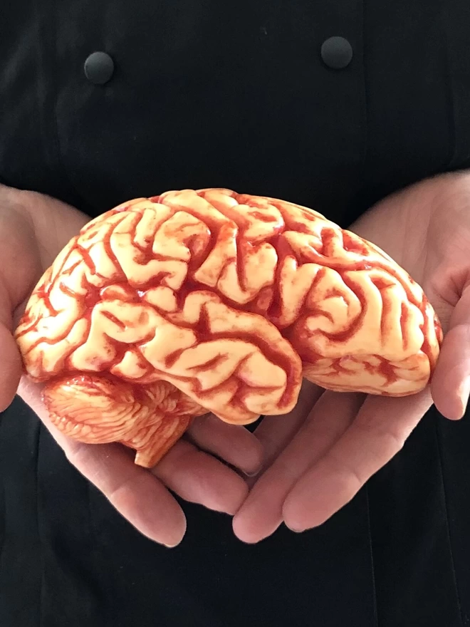 Realistic edible chocolate human brain held in woman's hands