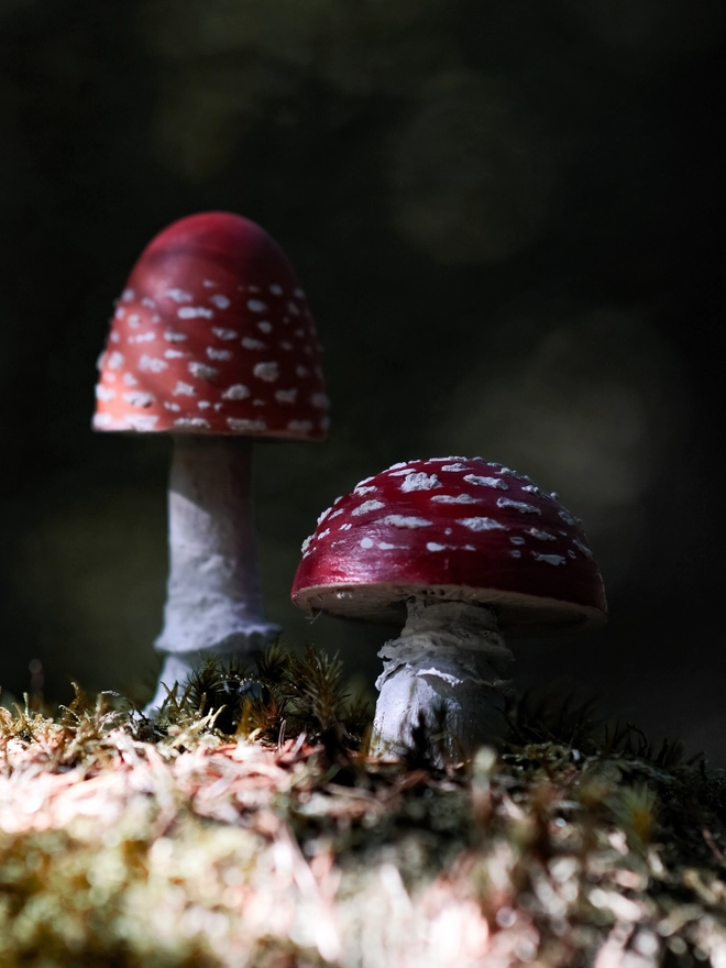 Handmade wooden toadstools and mushroom decorations inspired by enchanted woodland walks