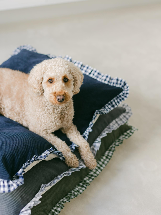 poodle on stack of corduroy gingham handmade pet cushions