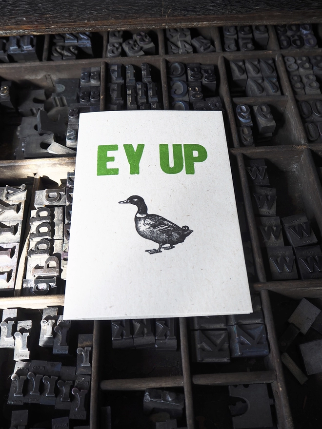 Ey Up Duck - Letterpress Greetings Card