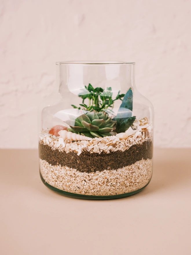 Seascape Terrarium Kit