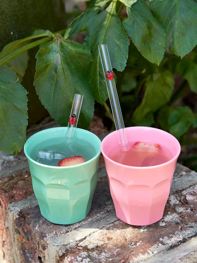 Ladybird reusable drinking straw