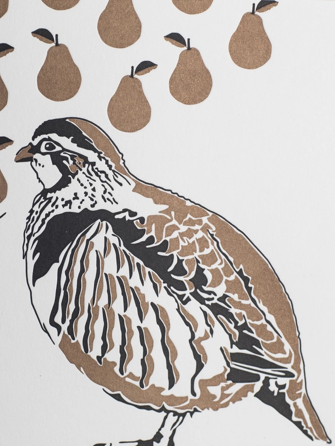 A detail shot of the letterpress texture and metallic ink on the partridge