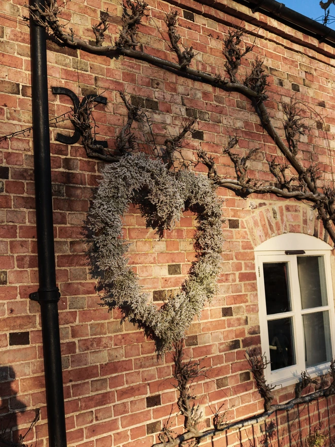 White Dried Statice Floral Heart 