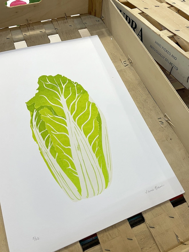 Chinese Cabbage Screenprint