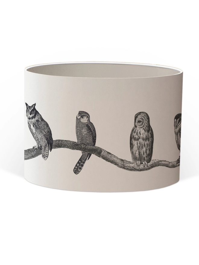 Drum Lampshade featuring owls on a branch with a white inner on a white background