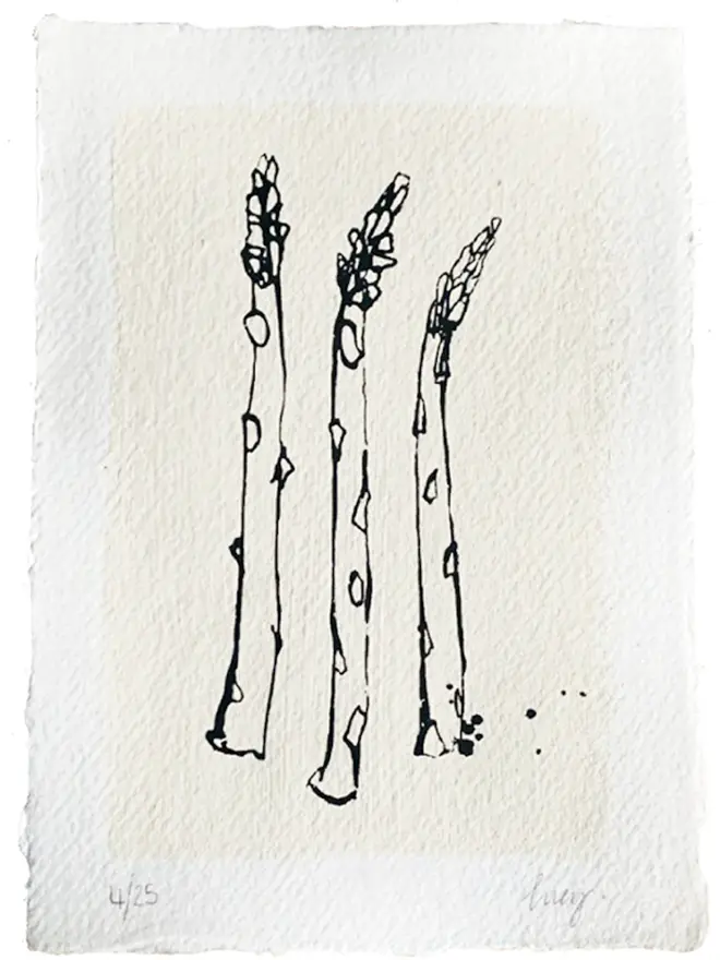 Garden Veg Asparagus Screenprint