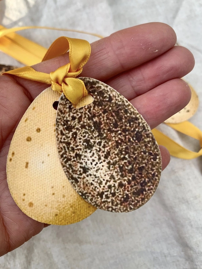 speckled eggs with gold ribbon