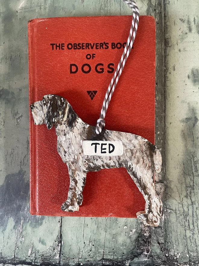 Italian Spinone Dog decoration personalised with the name Ted and placed onto a book about dogs