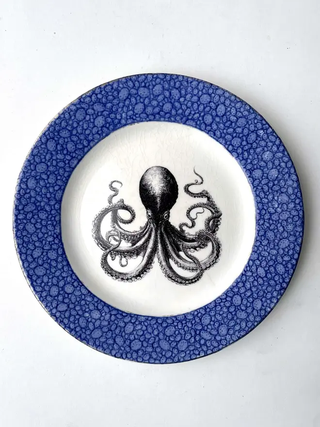 a vintage plate with ornate blue border, and in the centre is the vintage victorian illustration of an octopus