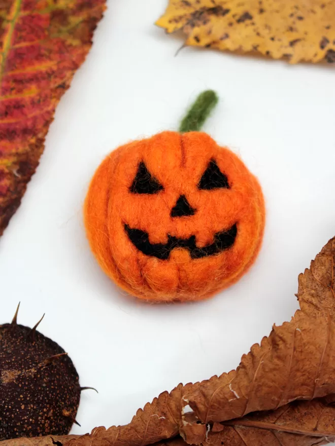 A needle-felted pumpkin brooch on a white background, surrounded by autumnal leaves 