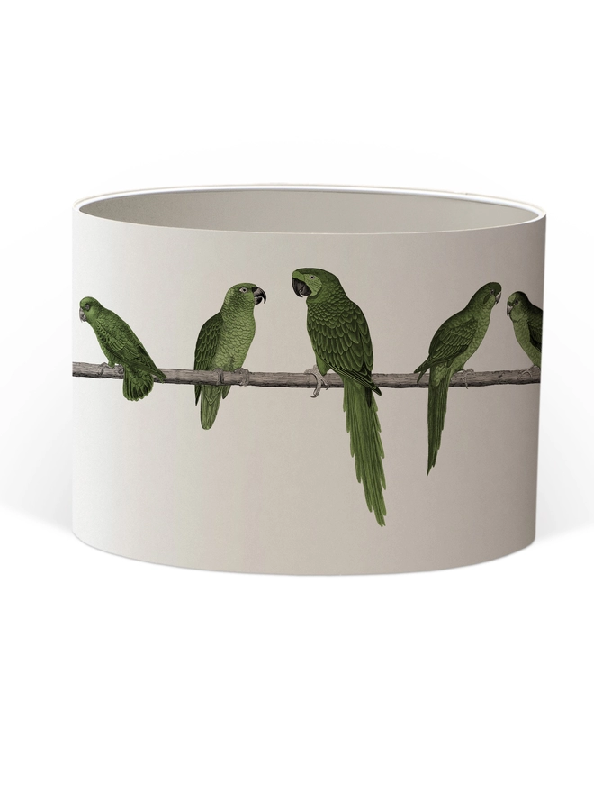Drum Lampshade featuring Green Parrots with a white inner on a white background