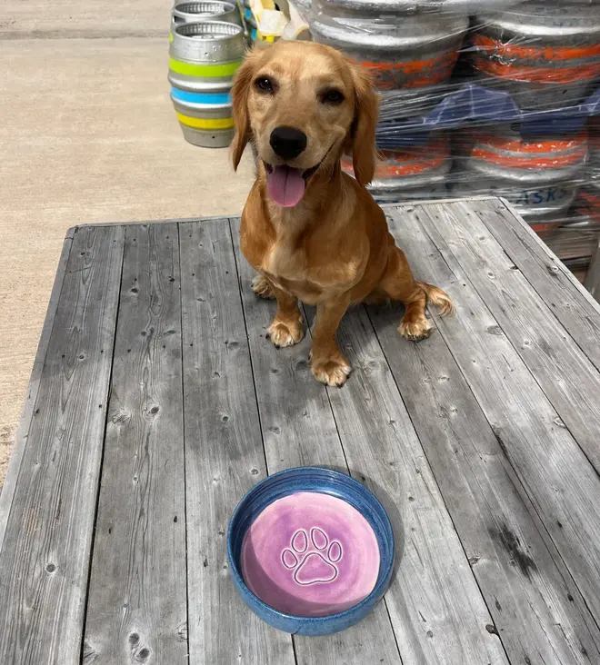 Landscape Dog Bowl, a colourful dog bowl sitting on a wooden surface next to a thirsty dog. 