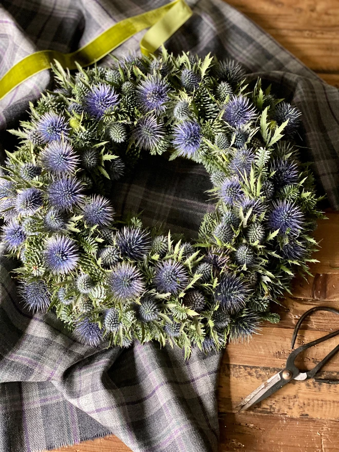 Christmas Foliage and Fresh Eryngium Thistle Wreath