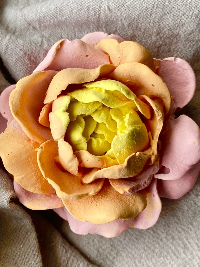 Colourful Wall Flowers