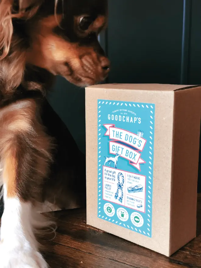 The Dog’s Gift Box