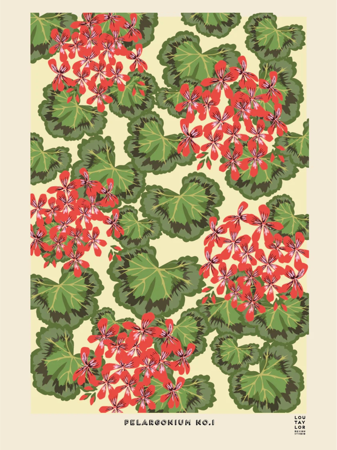 red pelargonium giclee print