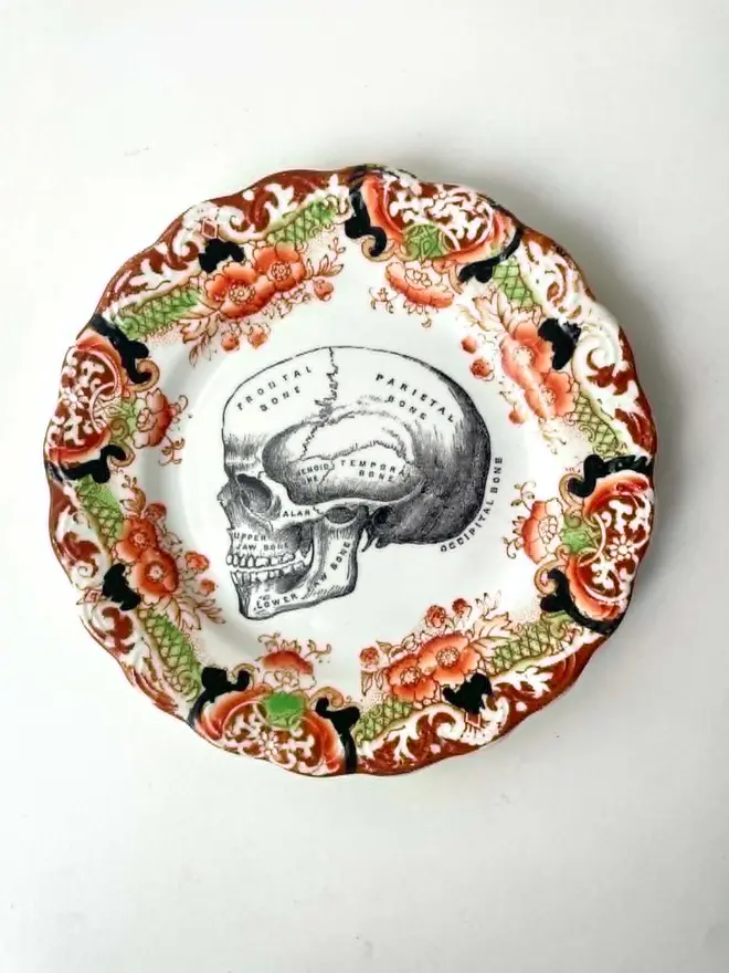 an ornate vintage china plate a pretty border and in teh centre is a vintage victorian illustration of an anatomical skull