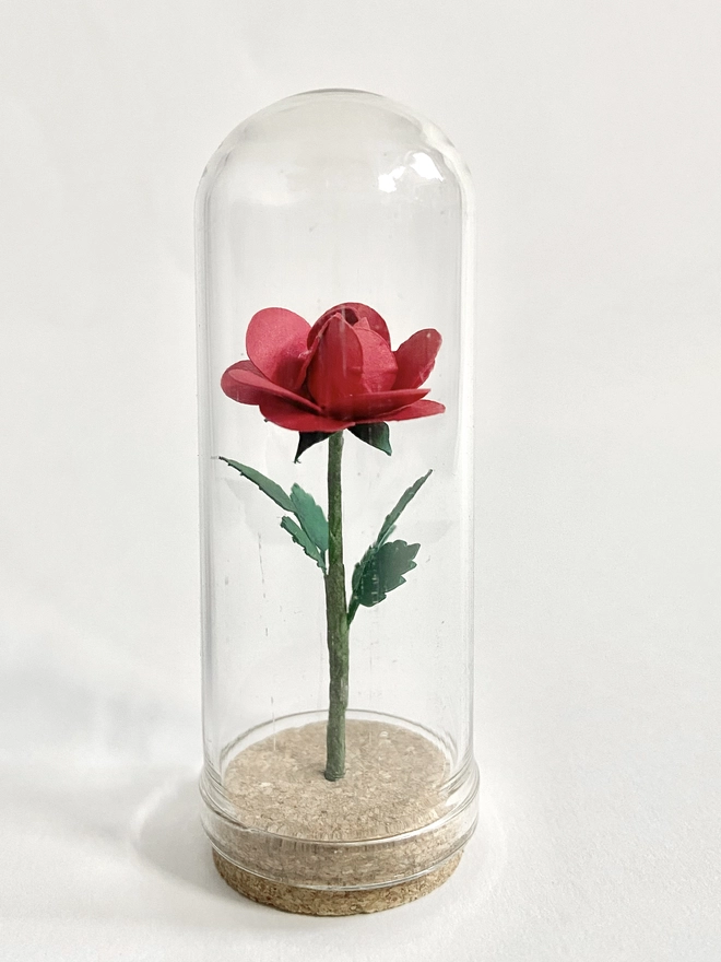 Handmade Mini Rose Dome