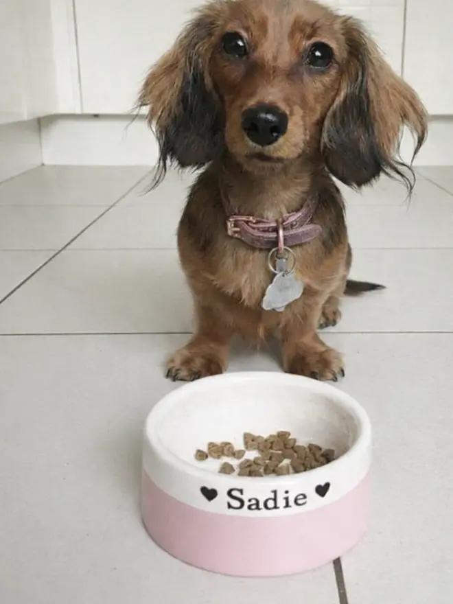 Small handmade dog bowl