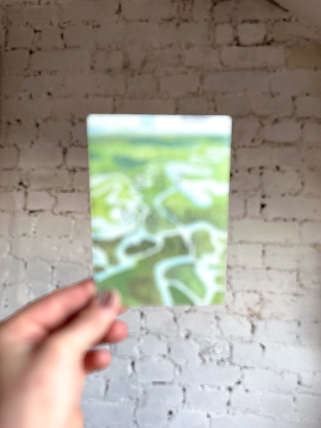 a greetings card featuring an illustration of the Everglades National Park with the text “GET WELL SOON”