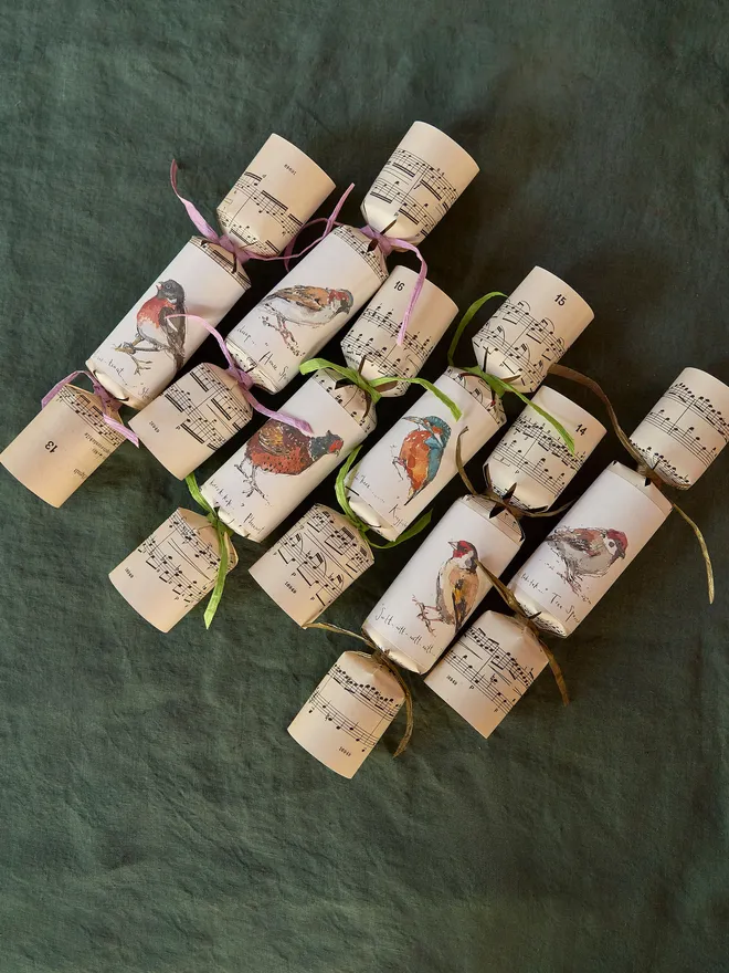 EcoMagpie_BirdMusicChristmasCrackers