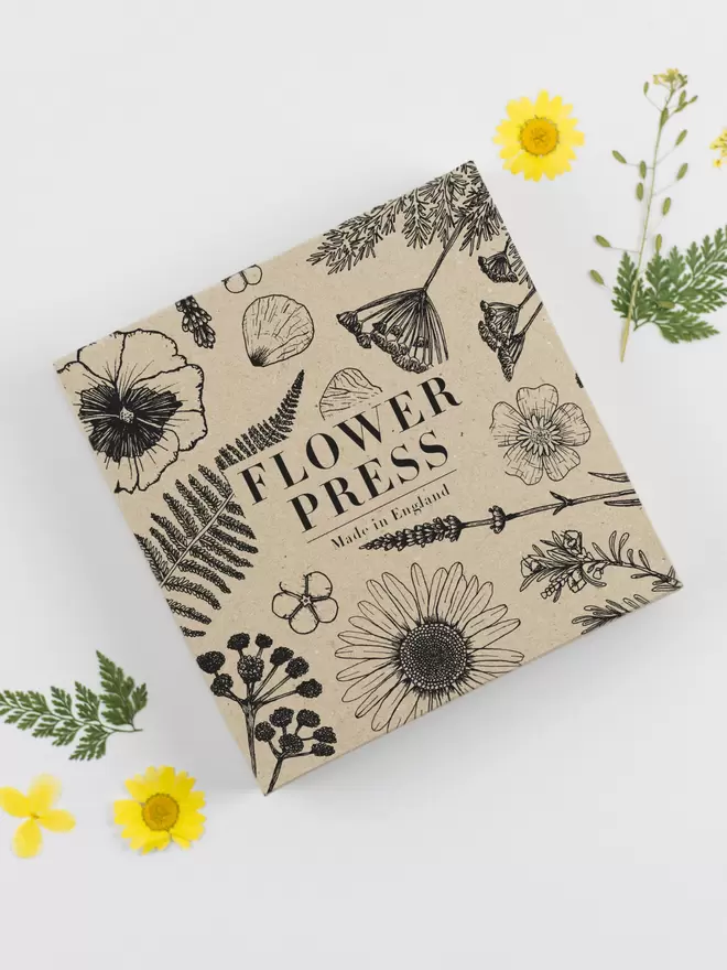 Hand illustrated box for flower press.