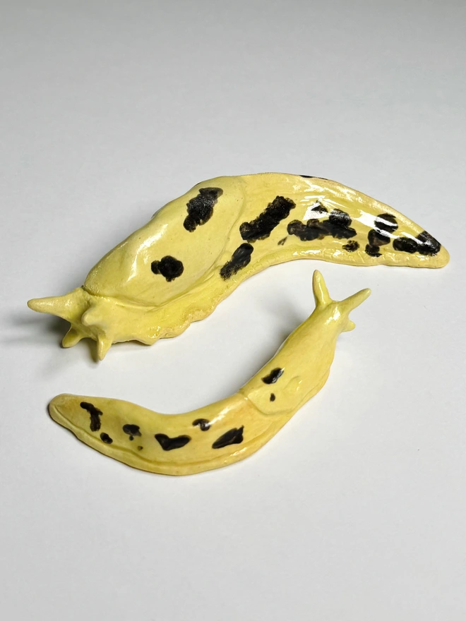 Banana Slug III