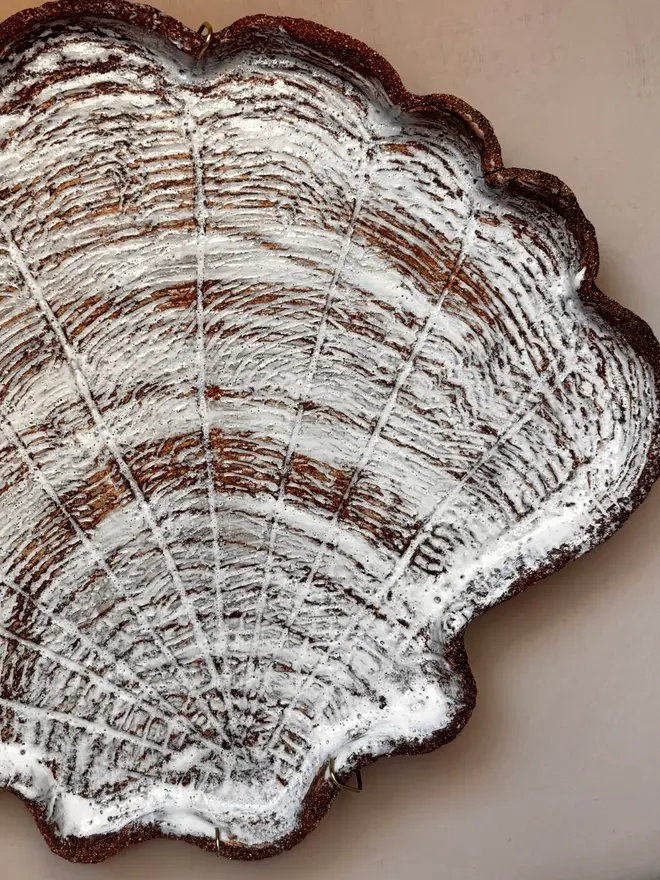 1.Scallop Shell Wall Plate