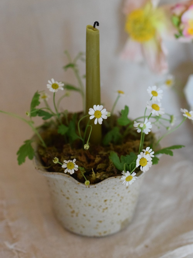 wavy stoneware plant pot