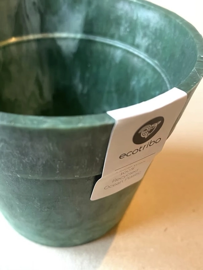 Small Green Ocean Plastic Plant Pot, a green recycled plant pot against a plain backdrop. 