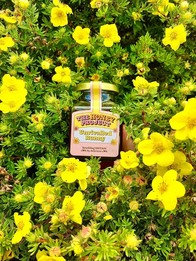 unrivalled runny british honey