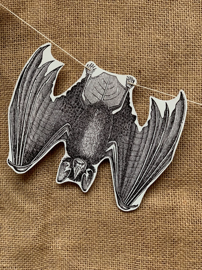 Paper cut bat