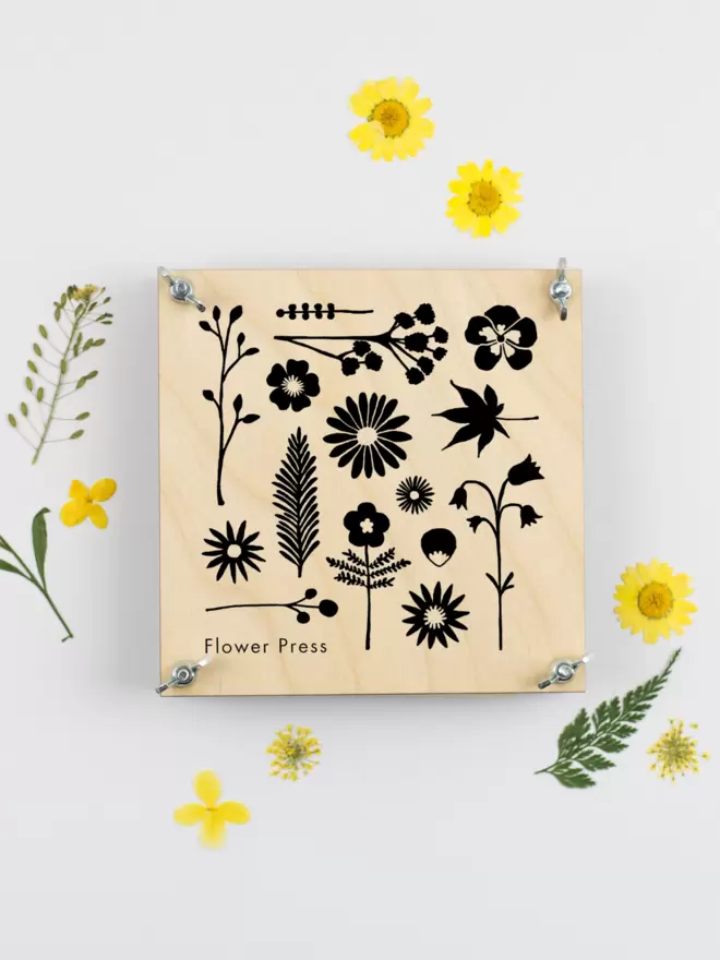 Flower press with black illustrated outline of flowers on the front, surrounded by pressed daisies and leaves.