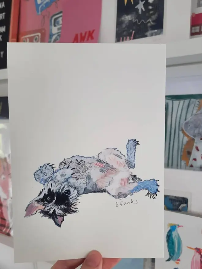 custom illustrated pet portrait. drawn portrait of grey dog rolling over on white background.