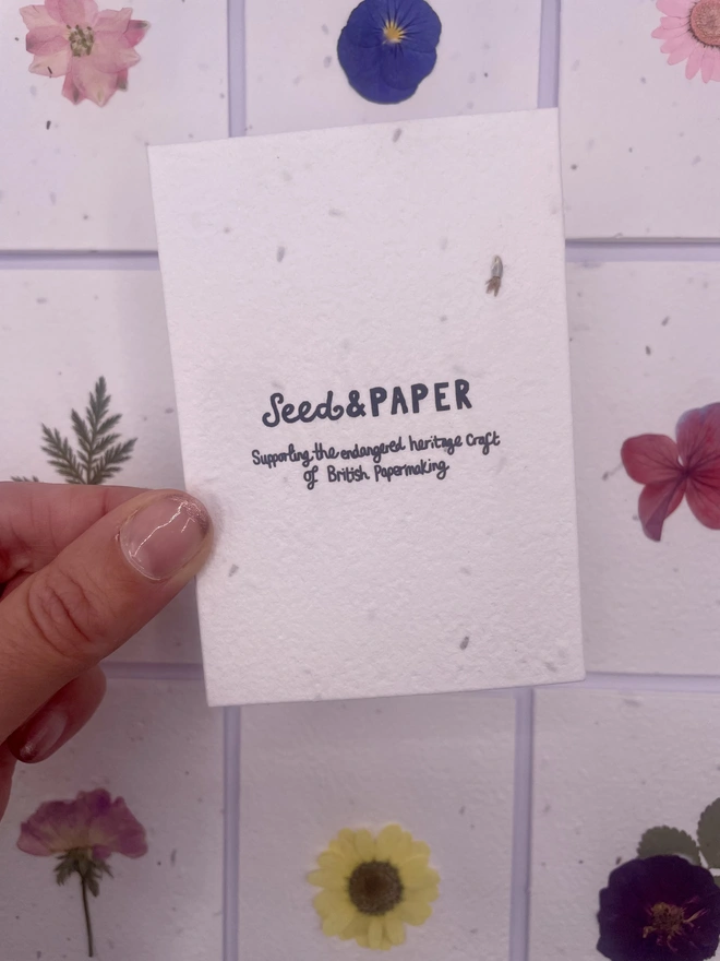 Back of Seed & Paper Plantable Notecard, Dog Rose